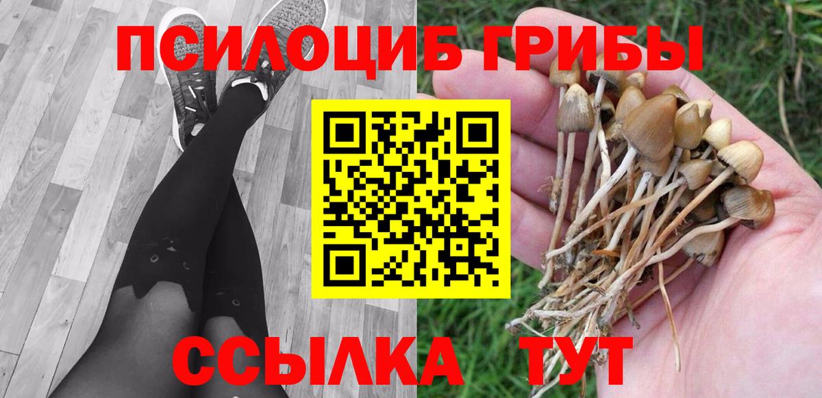 где купить наркоту  Псилоцибиновые грибы прущие грибы  Псилоцибиновые грибы MAGIC MUSHROOMS  Вход с VPN  Кинель 